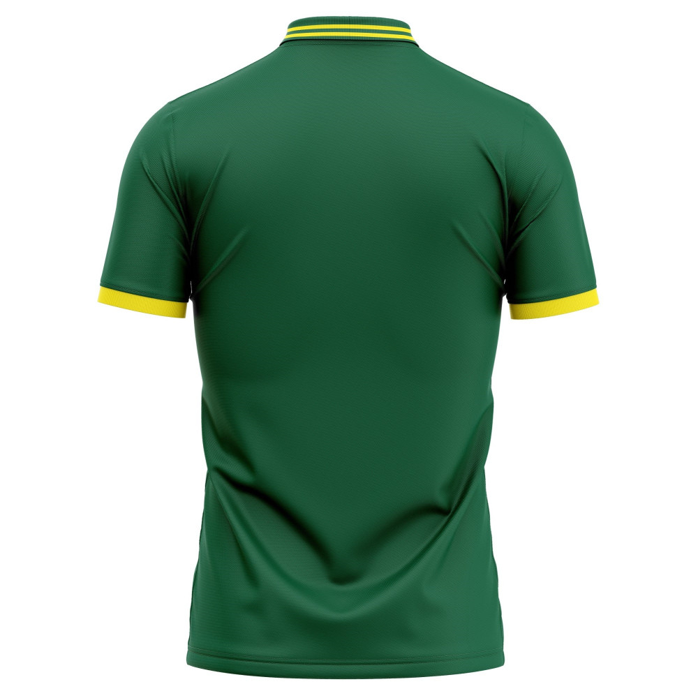 South Africa ODI World Cup 2023 Half Sleeves Cricket Fan Jersey South Africa ODI World Cup 2023 Half Sleeves Cricket Fan Jersey