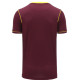 West Indies T20 World Cup 2021 Half Sleeves Cricket Fan Jersey West Indies T20 World Cup 2021 Half Sleeves Cricket Fan Jersey